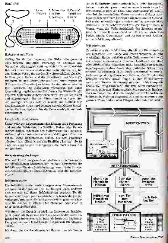 Vorschauseite 2: Die Ausbreitungsund Angriffsmöglichkeiten der Krankheitserreger