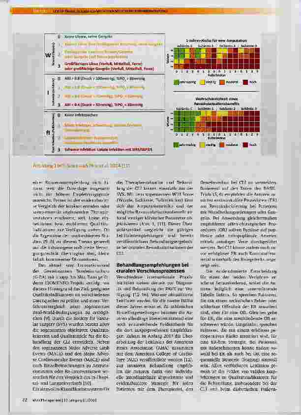 Vorschauseite 2: Crurale Revaskularisationsmöglichkeiten und Ergebnisse bei kritischer Extremitätenischämie