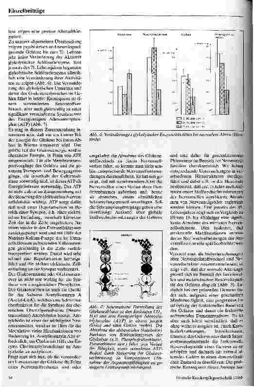 Vorschauseite 4: Grundlagen zum Verständnis des Alterns