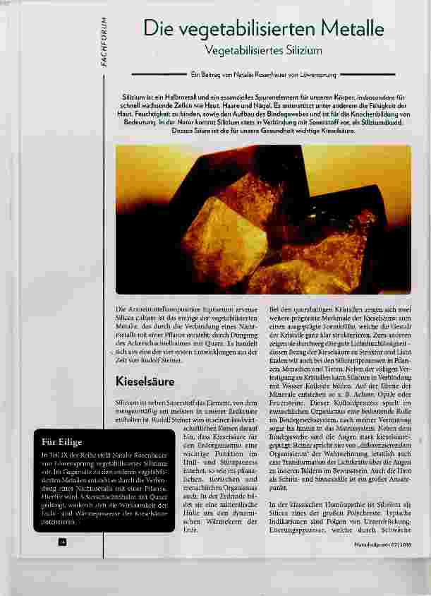 Vorschauseite 1: Die vegetabilisierten Metalle