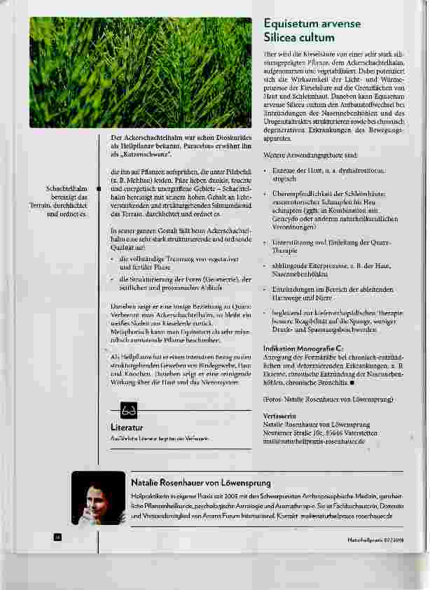 Vorschauseite 3: Die vegetabilisierten Metalle