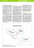 Vorschauseite 5: „Ich weiß bis heute nicht, was in diesem Frühjahr passiert ist. “ Das Erleben von Zeitlücken im Kontext einer substanzgebundenen Abhängigkeit: Eine Grounded Theory Studie