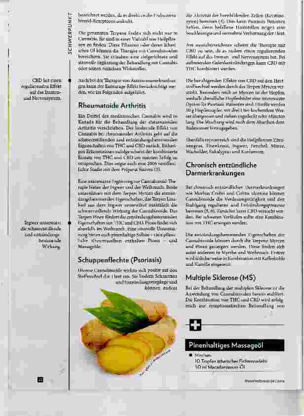 Vorschauseite 3: Die Therapie des Endocannabinoid-Systems bei Autoimmunerkrankungen