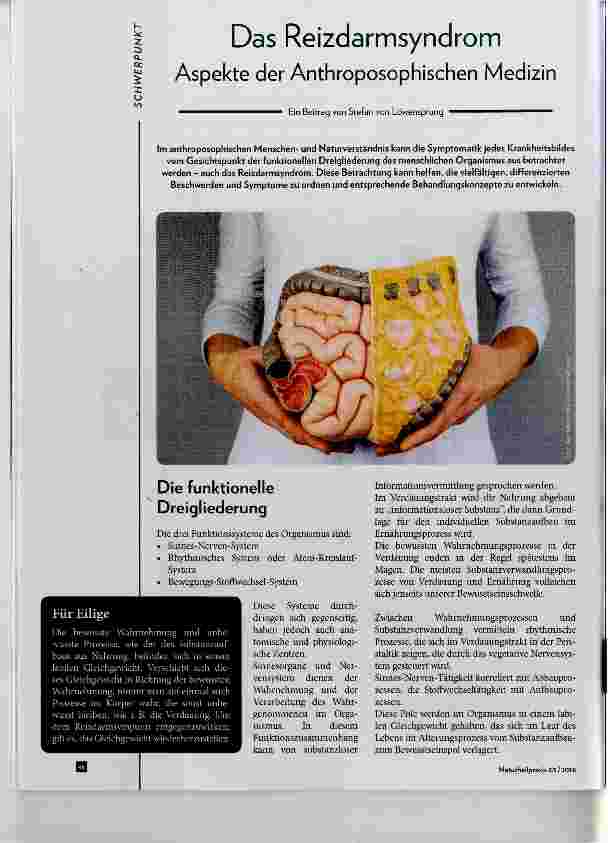 Vorschauseite 1: Das Reizdarmsyndrom