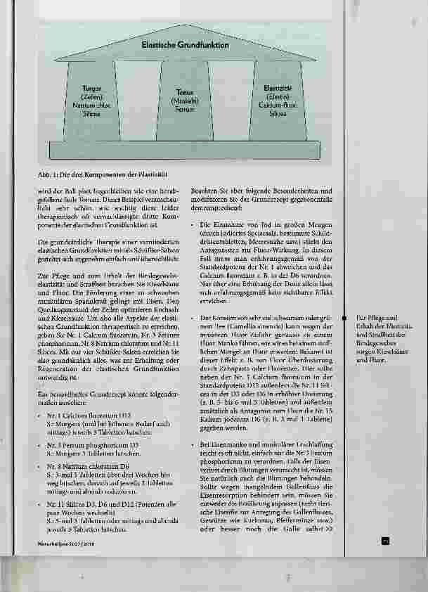 Vorschauseite 2: Schönheit von innen mit Schüfeler-Salzen und Spagyrika