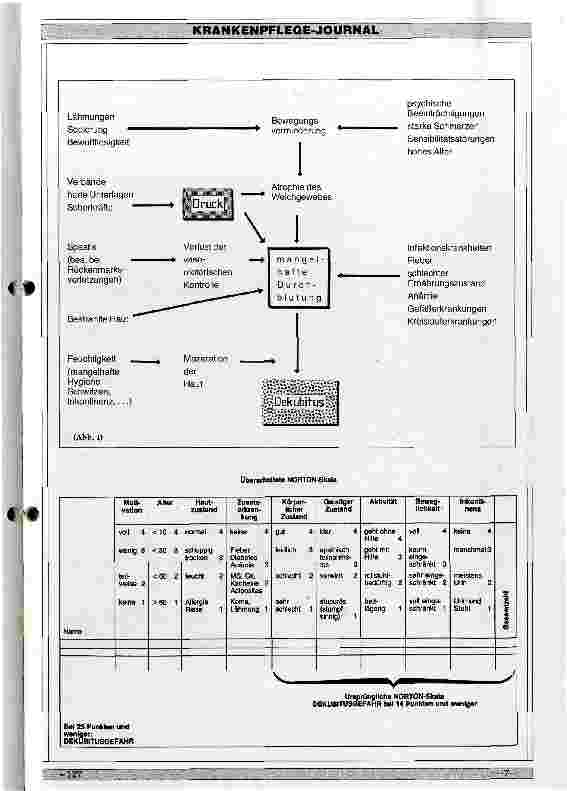 Vorschauseite 3: Grundlagen der Dekubitusentstehung und -entwicklung