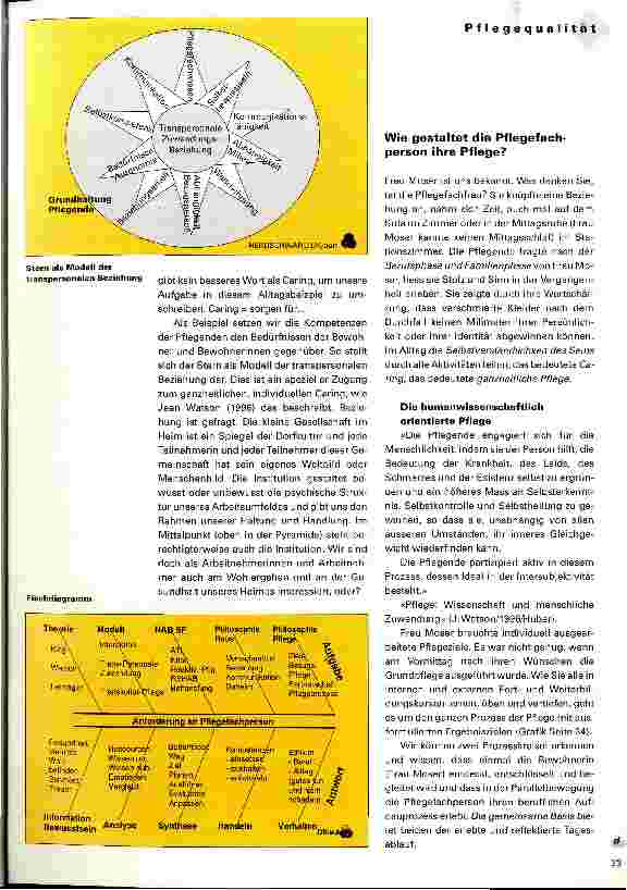 Vorschauseite 2: Wie können Pflegende die Qualität direkt beeinflussen?
