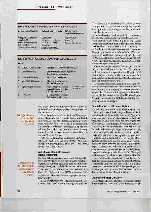 Vorschauseite 2: Schlaganfall im Kindesalter