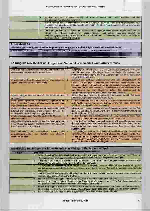 Vorschauseite 5: Bedeutung von Lernaufgaben für den Transfer am Beispiel einer Lernaufgabe zu Pflegemodellen, -theorien und -Konzepten