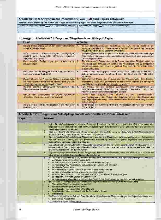 Vorschauseite 6: Bedeutung von Lernaufgaben für den Transfer am Beispiel einer Lernaufgabe zu Pflegemodellen, -theorien und -Konzepten
