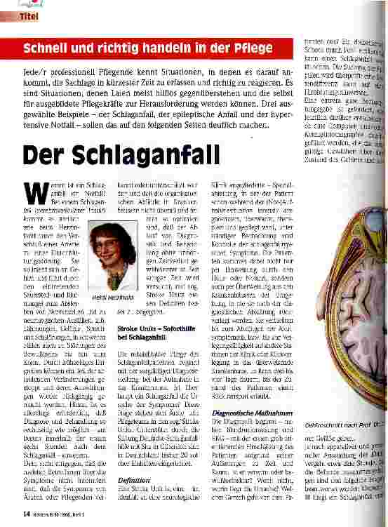 Vorschauseite 1: Der Schlaganfall