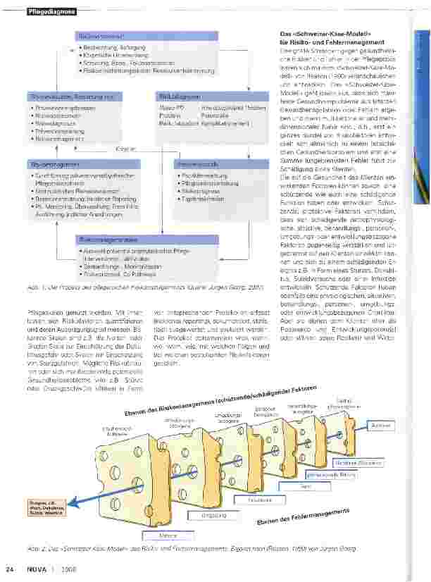 Vorschauseite 3: Risikopflegediagnosen und Risikomanagement