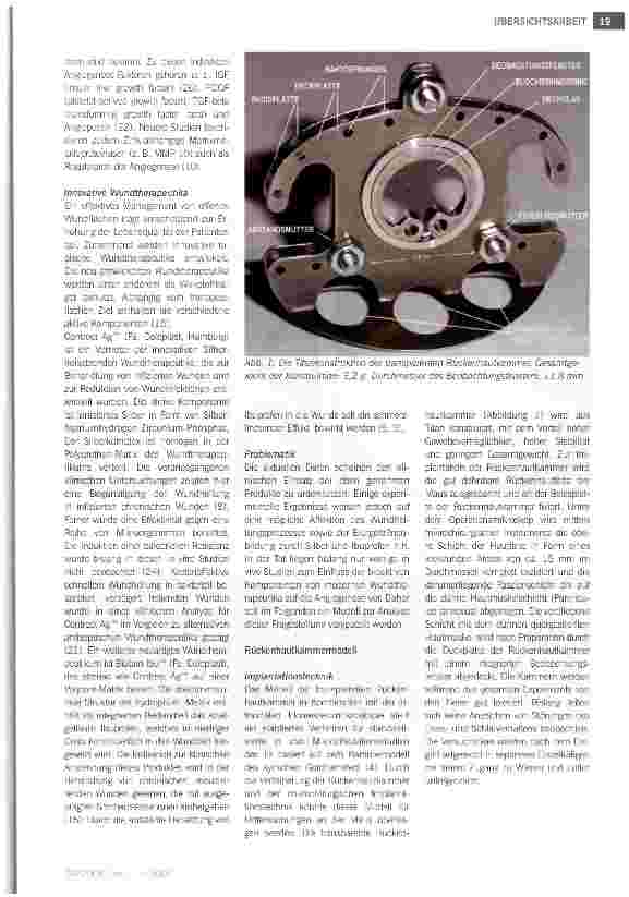 Vorschauseite 2: Analyse der Wirkung von innovativen Wundtherapeutika auf Angiogenese und Neovaskularisation: Vorstellung eines Modells