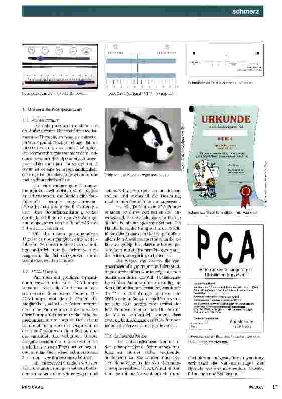 Vorschauseite 2: Mitverantwortung in der postoperativen Schmerztherapie Konzept und Praxis aus dem KH Steyr