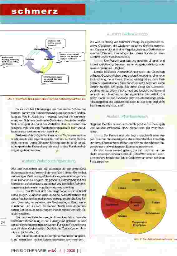 Vorschauseite 2: Fibromyalgie die rätselhafte Krankheit Teil III - Zur ganzheitlichen Schmerzbewältigung