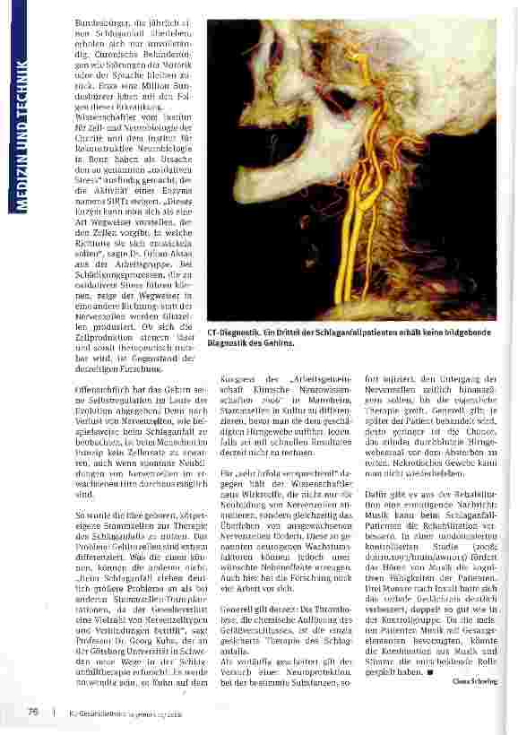 Vorschauseite 3: Diagnostik gut, Therapie mangelhaft