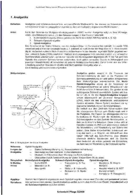 Vorschauseite 2: Menschen mit Rheuma bei der medikamentösen Therapie unterstützen