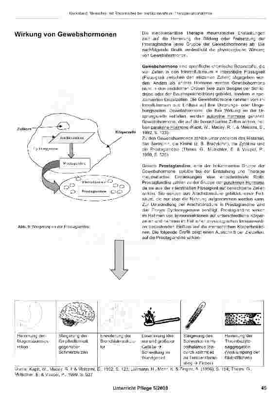 Vorschauseite 6: Menschen mit Rheuma bei der medikamentösen Therapie unterstützen