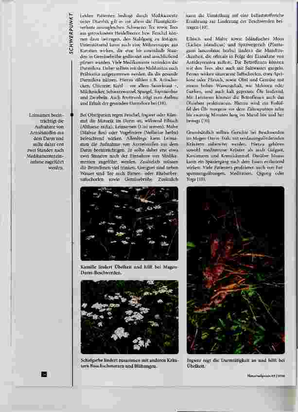 Vorschauseite 3: Antidepressiva: Phytotherapeutische Behandlung ausgewählter Nebenwirkungen