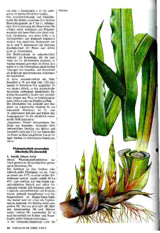 Vorschauseite 3: Ätherische Öle Ihre Wirkung und Verwendung