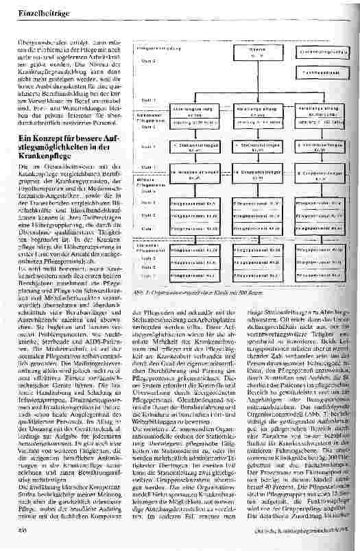 Vorschauseite 4: Krankenpflege - ein Übergangsoder Karriereberuf?