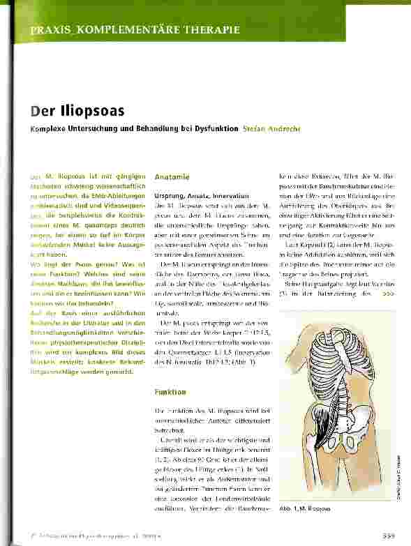 Vorschauseite 1: Der lliopsoas