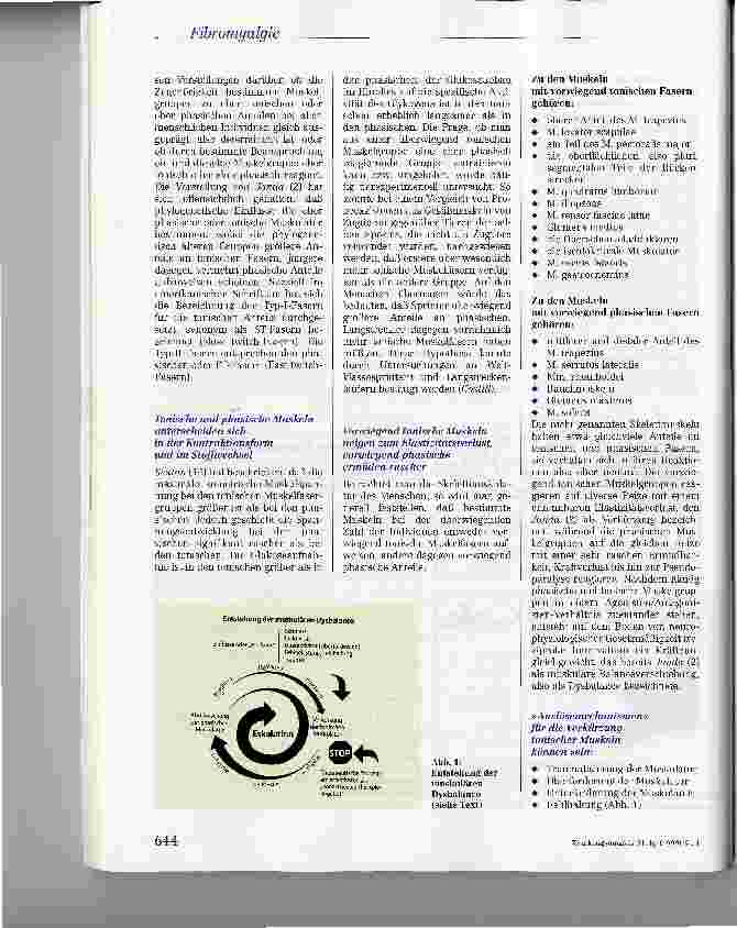 Vorschauseite 4: Die Fibromyalgie -Fiktion oder Faktum?
