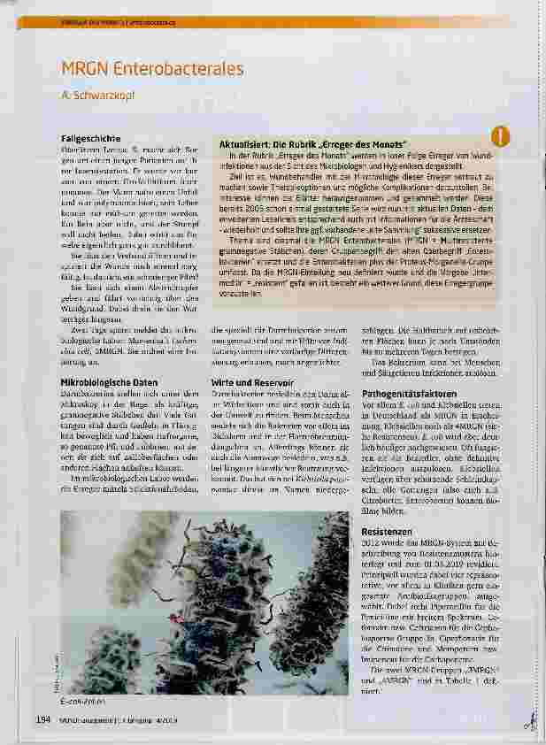 Vorschauseite 1: MRGN Enterobacterales