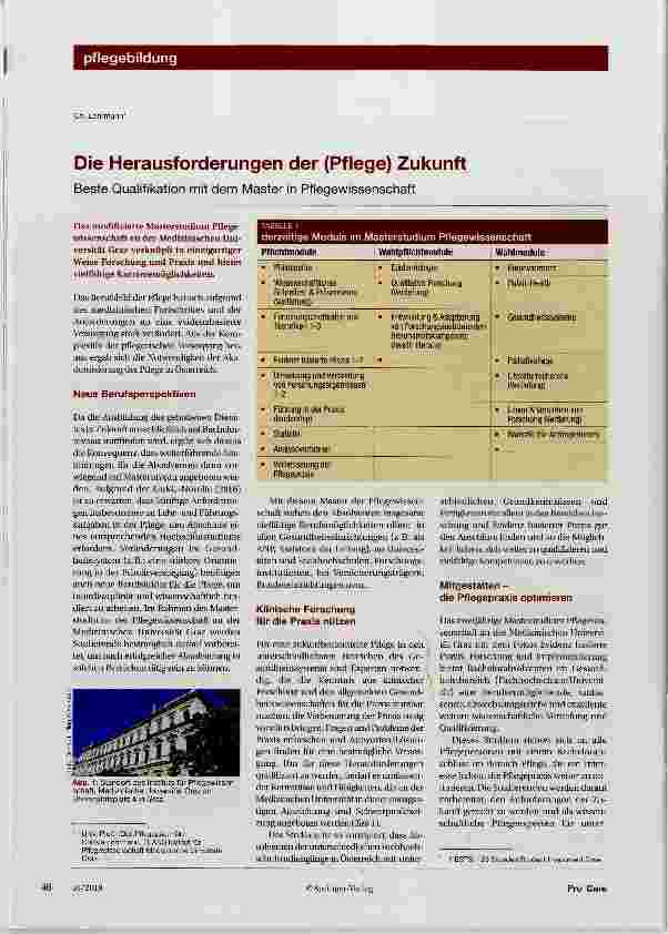 Vorschauseite 1: Die Herausforderungen der (Pflege) Zukunft