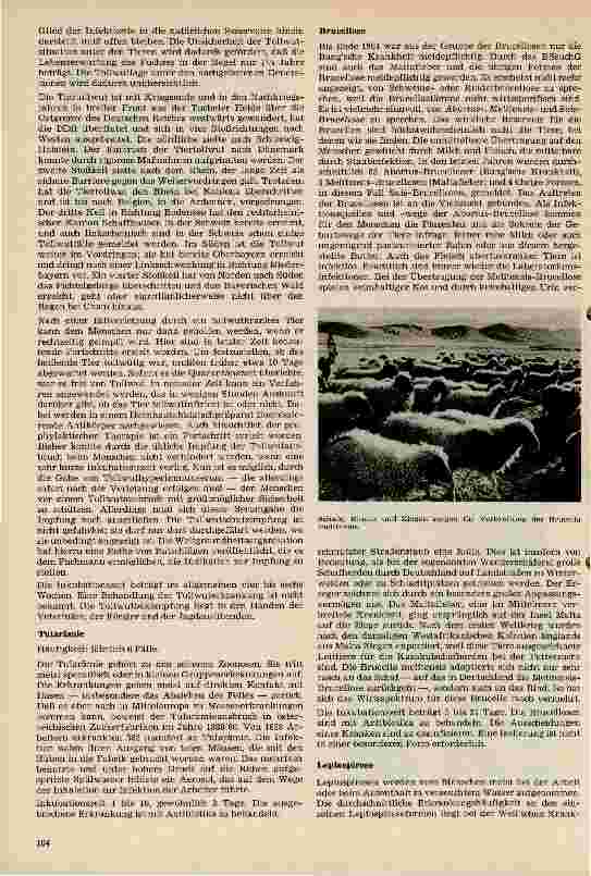 Vorschauseite 3: Epidemiologie und Ökologie der Zoonosen in der BRD