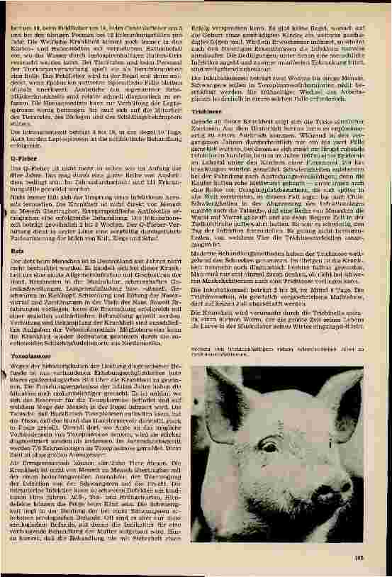 Vorschauseite 4: Epidemiologie und Ökologie der Zoonosen in der BRD