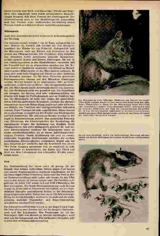 Vorschauseite 6: Epidemiologie und Ökologie der Zoonosen in der BRD