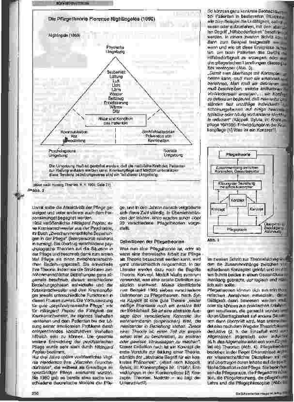 Vorschauseite 2: Pflegetheorien und ihre Bedeutung für die Praxis
