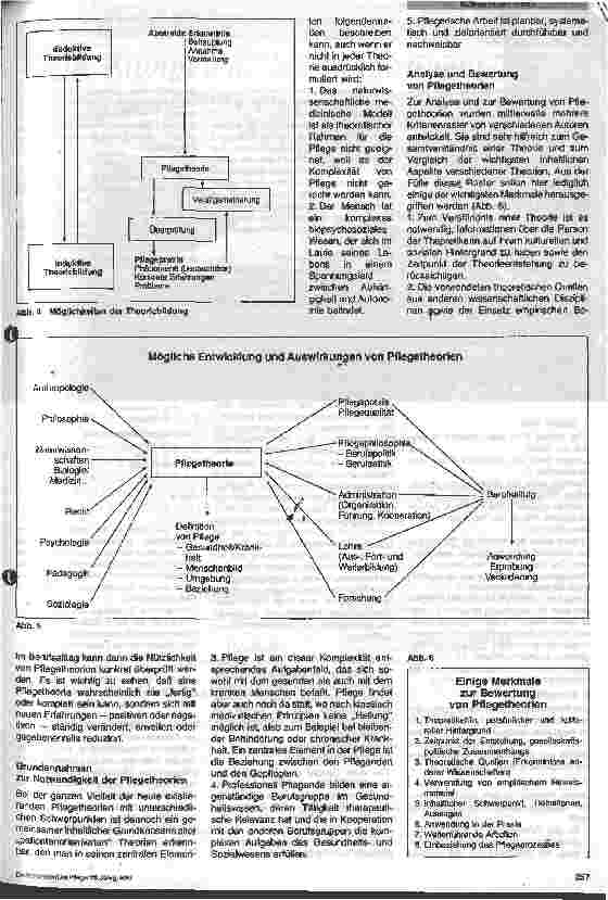 Vorschauseite 3: Pflegetheorien und ihre Bedeutung für die Praxis