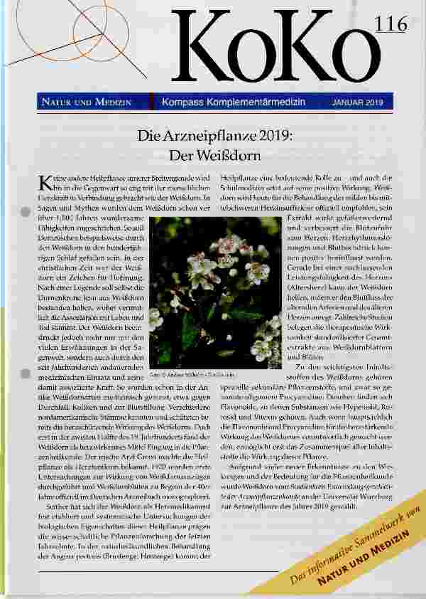Vorschauseite 1: Die Arzneipflanze 2019: Der Weißdorn