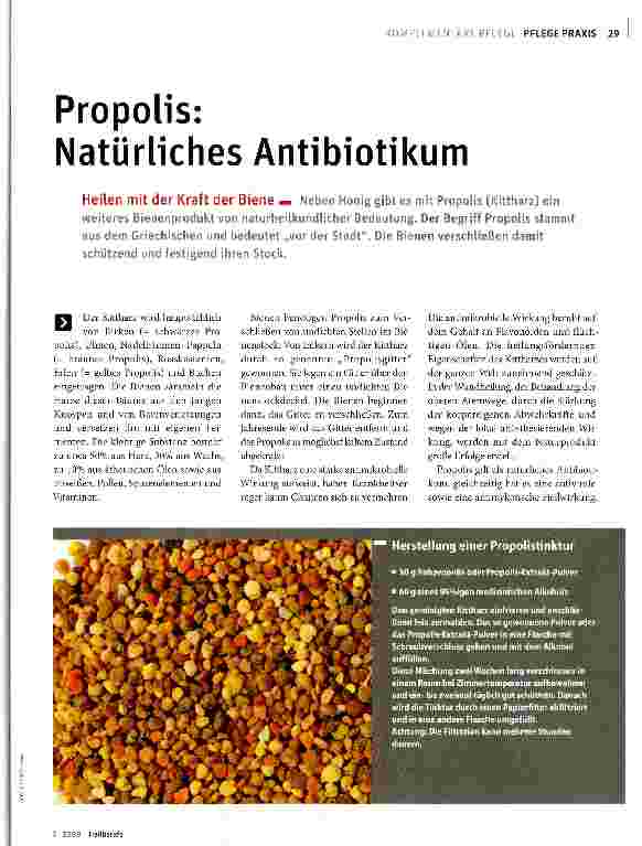Vorschauseite 1: Propolis: Natürliches Antibiotikum