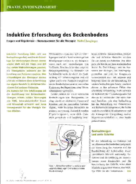 Vorschauseite 1: Induktive Erforschung des Beckenbodens