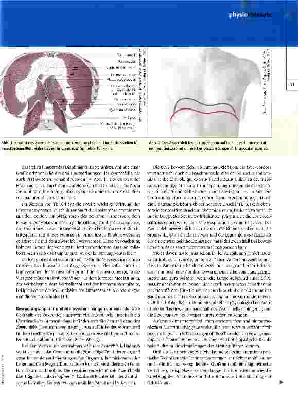 Vorschauseite 2: Nebendiagnose: Atemwegserkrankung