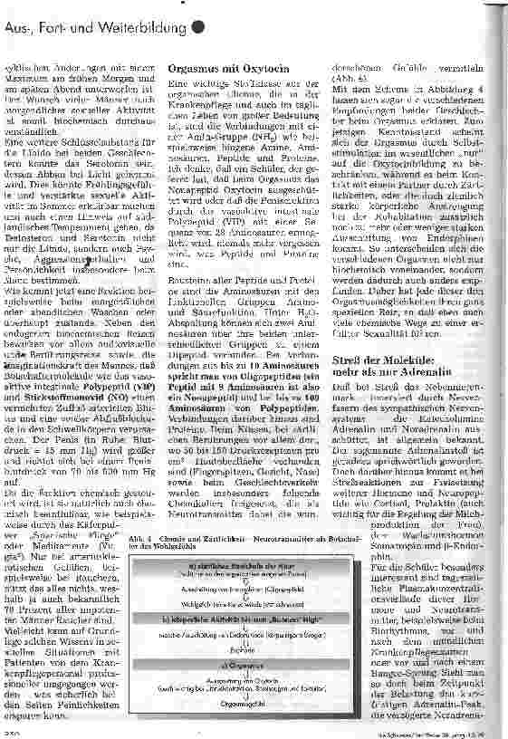 Vorschauseite 3: Chemie, Sex & Rock n Roll