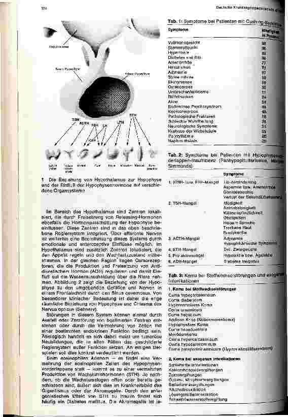 Vorschauseite 2: Nervensystem und Innere Medizin