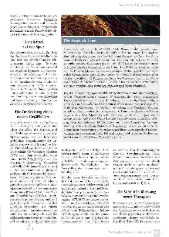 Vorschauseite 2: Immunabwehr als Gefäßkiller