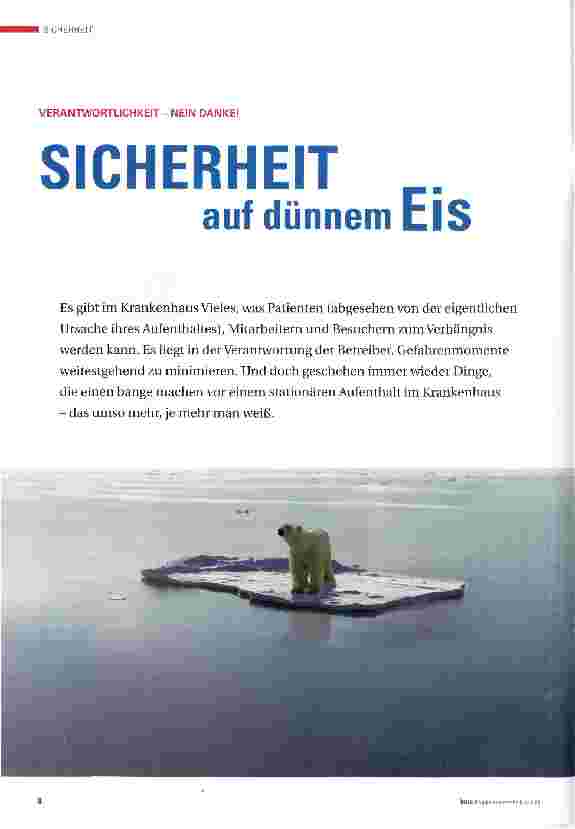 Vorschauseite 1: SICHERHEIT auf dünnem ElS