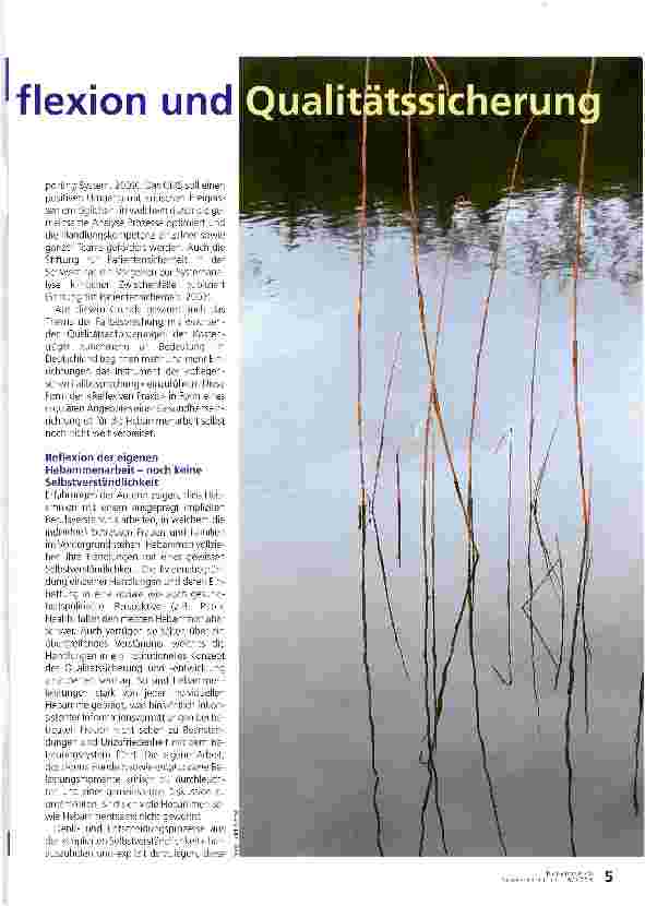Vorschauseite 2: Ein Instrument zur Reflexion und Qualitätssicherung in der Hebammenarbeit