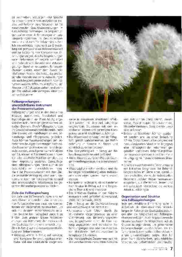 Vorschauseite 4: Ein Instrument zur Reflexion und Qualitätssicherung in der Hebammenarbeit
