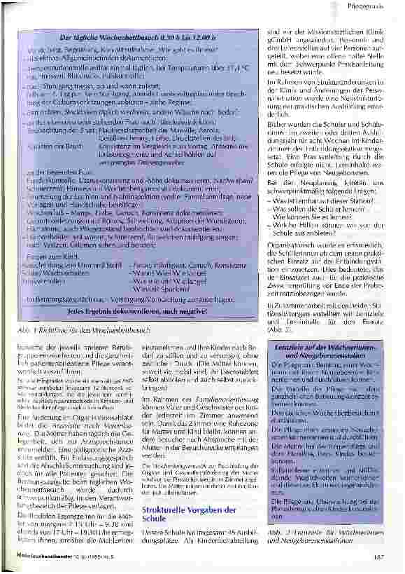 Vorschauseite 2: Projekt: Ganzheitliche Wochenbettpflege - auch für Schüler erlernbar?