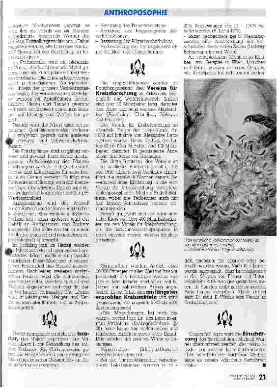 Vorschauseite 4: Mistel-Präparat Ein krebshemmendes Zaubermittel?