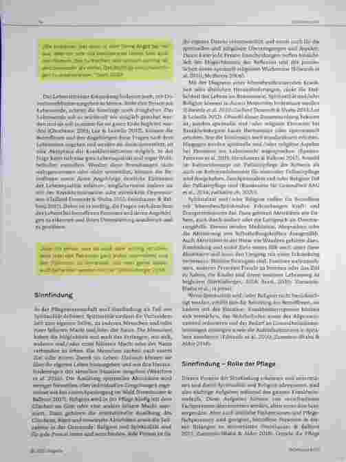Vorschauseite 2: Sinn finden als Ressource - welche Aufgabe hat die Pflege?