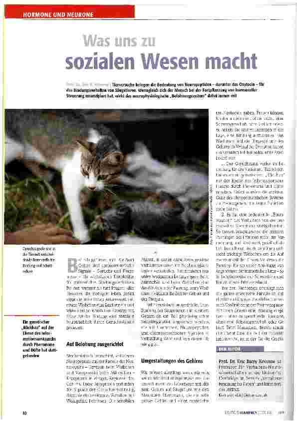 Vorschauseite 1: Was uns zu sozialen Wesen macht