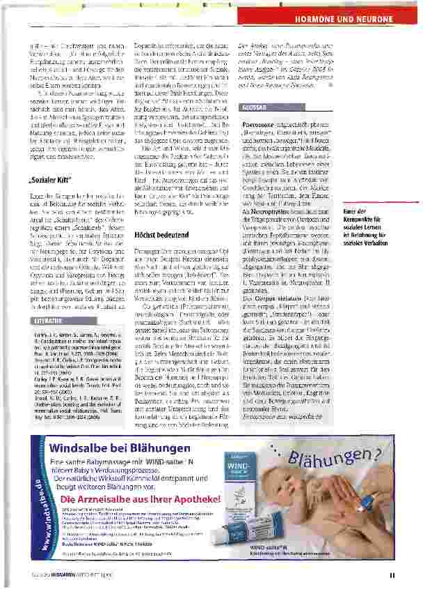 Vorschauseite 2: Was uns zu sozialen Wesen macht