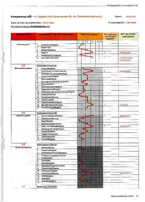 Vorschauseite 4: Kompetenzprofil und Kompetenzrad -Instrumente zur Kompetenzbestimmung